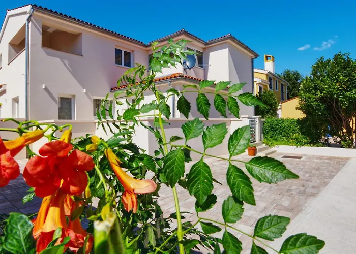 Nata By Guide 풀라